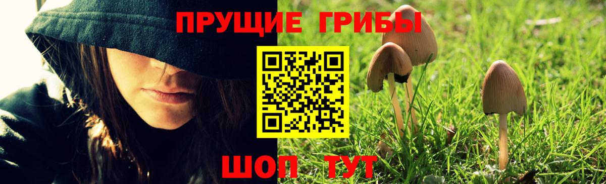 купить закладку  Псилоцибиновые грибы прущие грибы  Галлюциногенные грибы Magic Shrooms  Вход с VPN  Сегежа 